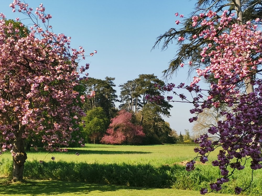 Aire camping-car � Chemill� (49120) - Photo 5